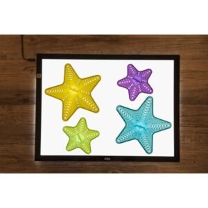 TTS® Radiant Stacking Cones - Set of 20