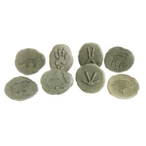 Woodland Animal Footprint Stones - Set of 8