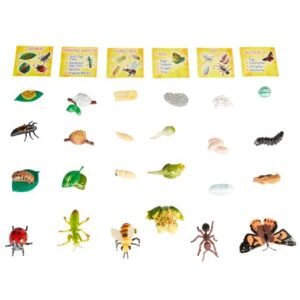 Life Cycle Figurines - 24 Pieces